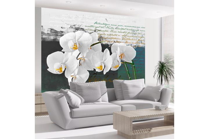 Valokuvatapetti Orchid Poet Inspiration 250x193 - Artgeist sp. z o. o. - Sisustustuotteet - Seinäkoristeet - Tapetit - Valokuvatapetit