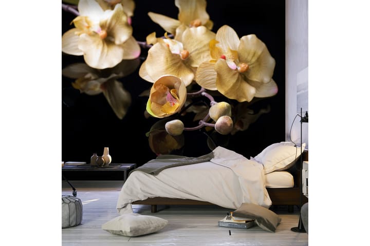 Valokuvatapetti Orchids In Ecru Color 400x309 - Artgeist sp. z o. o. - Valokuvatapetit