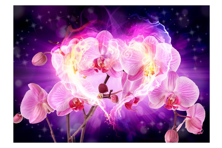 Valokuvatapetti Orchids In Flames 250x175 - Artgeist sp. z o. o. - Sisustustuotteet - Seinäkoristeet - Tapetit - Valokuvatapetit