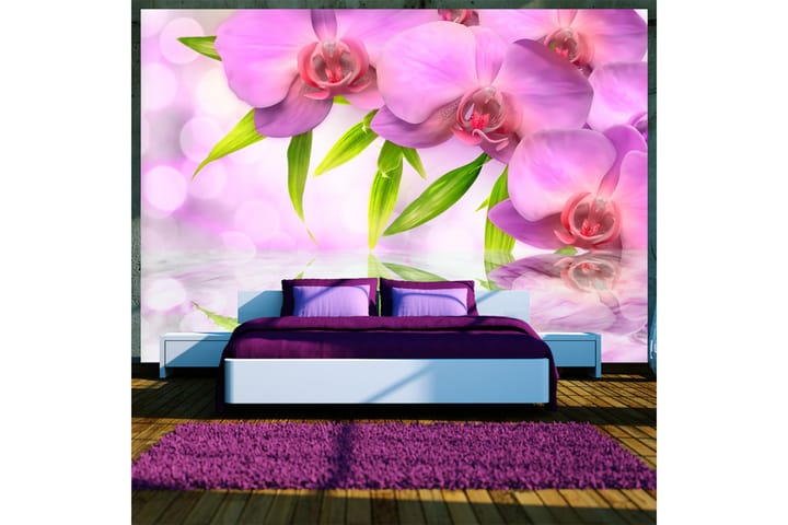 Valokuvatapetti Orchids In Lilac Colour 200x140 - Artgeist sp. z o. o. - Sisustustuotteet - Seinäkoristeet - Tapetit - Valokuvatapetit