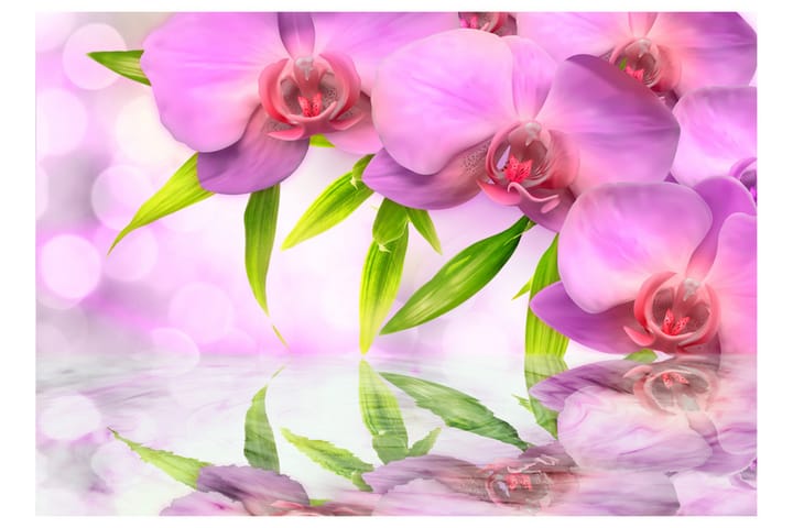 Valokuvatapetti Orchids In Lilac Colour 200x140 - Artgeist sp. z o. o. - Sisustustuotteet - Seinäkoristeet - Tapetit - Valokuvatapetit