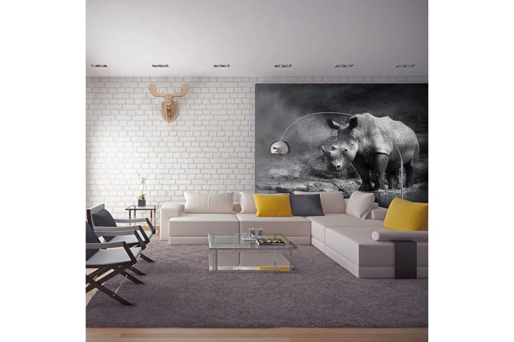 Valokuvatapetti Rhino Lost In Dreams 300x231 - Artgeist sp. z o. o. - Sisustustuotteet - Seinäkoristeet - Tapetit - Valokuvatapetit