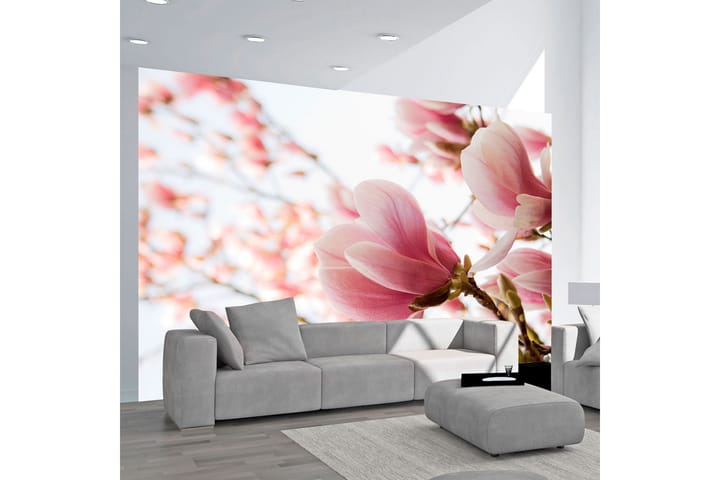 Valokuvatapetti Rosa Magnolia 350x270 - Artgeist sp. z o. o. - Sisustustuotteet - Seinäkoristeet - Tapetit - Valokuvatapetit