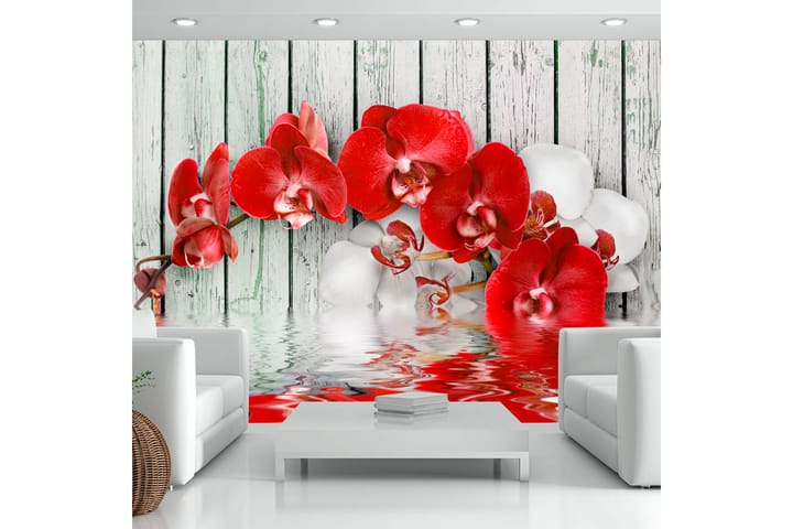 Valokuvatapetti Ruby Orchid 100x70 - Artgeist sp. z o. o. - Sisustustuotteet - Seinäkoristeet - Tapetit - Valokuvatapetit