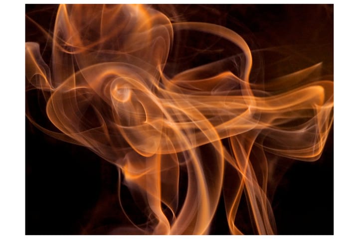 Valokuvatapetti Smoke Art 250x193 - Artgeist sp. z o. o. - Sisustustuotteet - Seinäkoristeet - Tapetit - Valokuvatapetit