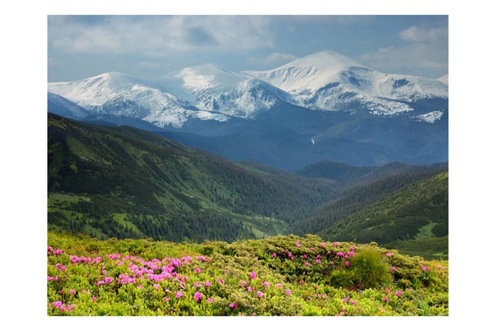 Valokuvatapetti Spring Mountain Landscape 250x193 - Artgeist sp. z o. o. - Sisustustuotteet - Seinäkoristeet - Tapetit - Valokuvatapetit