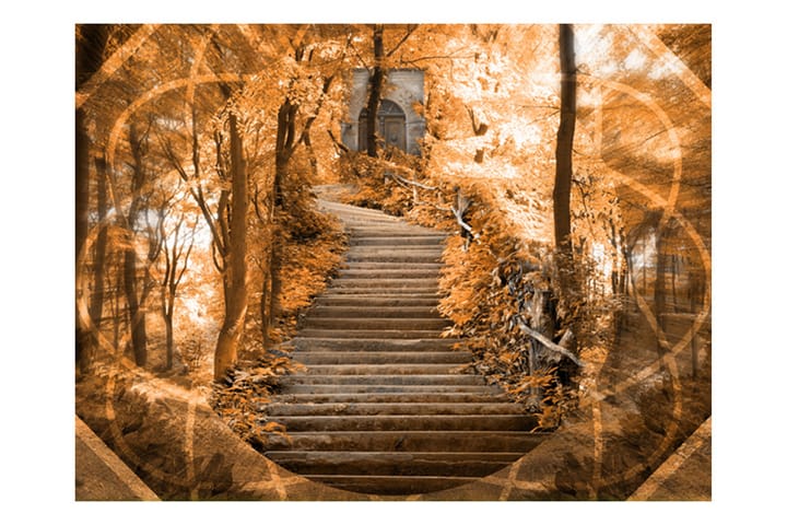 Valokuvatapetti Stairs To Paradise 250x193 - Artgeist sp. z o. o. - Sisustustuotteet - Seinäkoristeet - Tapetit - Valokuvatapetit