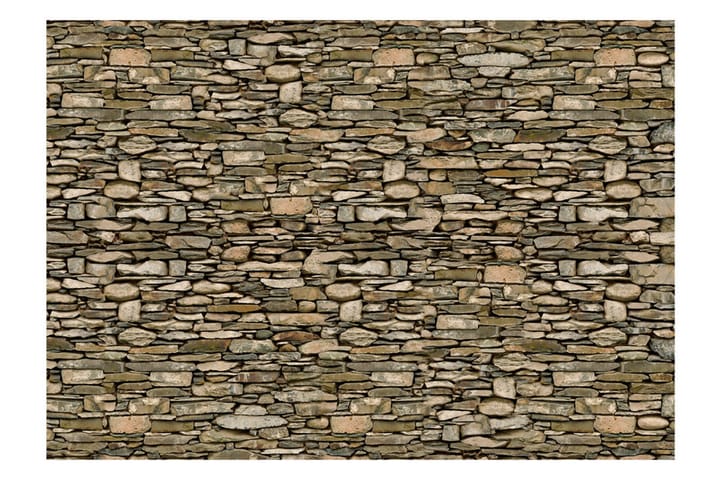 Valokuvatapetti Stone Wall 200x140 - Artgeist sp. z o. o. - Valokuvatapetit