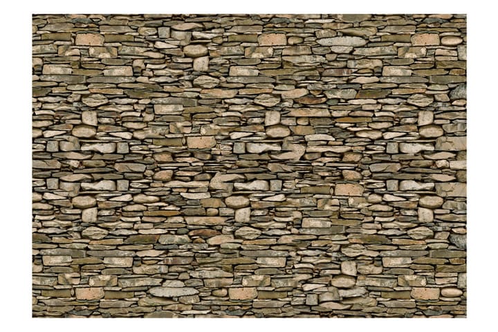 Valokuvatapetti Stone Wall 250x175 - Artgeist sp. z o. o. - Valokuvatapetit