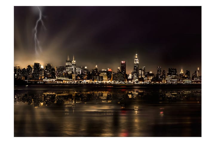 Valokuvatapetti Storm In New York City 250x175 - Artgeist sp. z o. o. - Sisustustuotteet - Seinäkoristeet - Tapetit - Valokuvatapetit