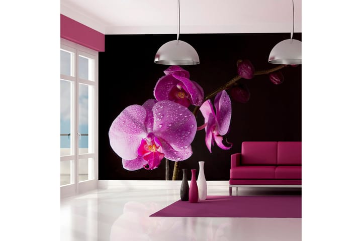 Valokuvatapetti Stylish Orchids 200x154 - Artgeist sp. z o. o. - Sisustustuotteet - Seinäkoristeet - Tapetit - Valokuvatapetit