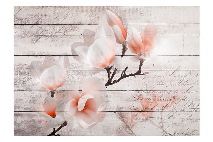 Valokuvatapetti Subtlety Of The Magnolia 100x70 - Artgeist sp. z o. o. - Sisustustuotteet - Seinäkoristeet - Tapetit - Valokuvatapetit