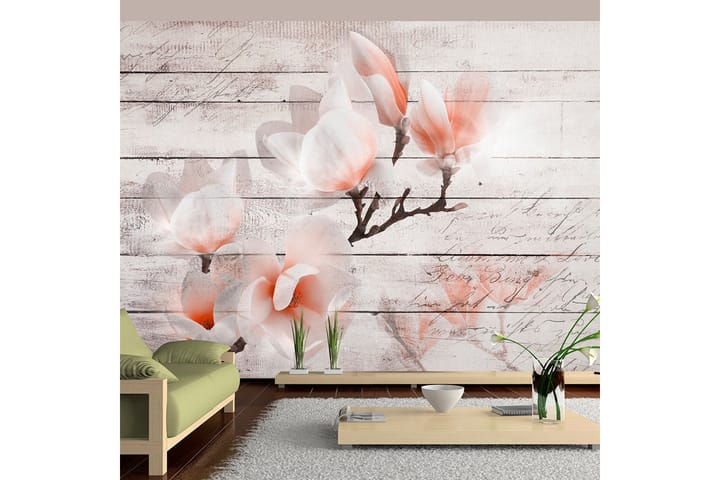 Valokuvatapetti Subtlety Of The Magnolia 100x70 - Artgeist sp. z o. o. - Sisustustuotteet - Seinäkoristeet - Tapetit - Valokuvatapetit