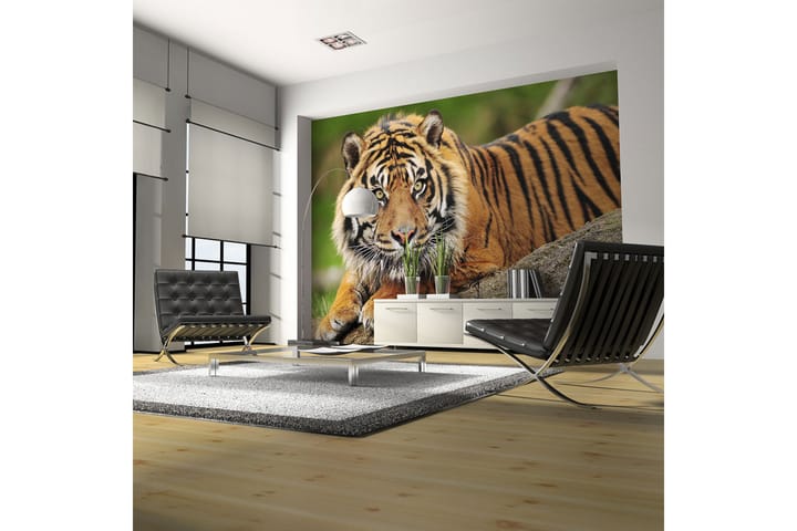 Valokuvatapetti Sumatra Tiger 300x231 - Artgeist sp. z o. o. - Sisustustuotteet - Seinäkoristeet - Tapetit - Valokuvatapetit