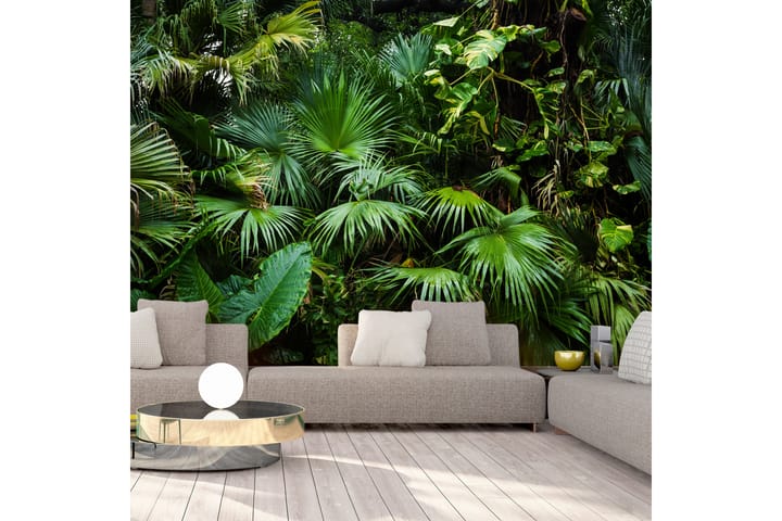 Valokuvatapetti Sunny Jungle 200x140 - Artgeist sp. z o. o. - Sisustustuotteet - Seinäkoristeet - Tapetit - Valokuvatapetit