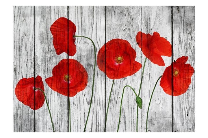 Valokuvatapetti Tale of Red Poppies 100x70 - Artgeist sp. z o. o. - Sisustustuotteet - Seinäkoristeet - Tapetit - Valokuvatapetit