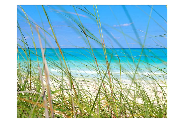 Valokuvatapetti Tropical Journey 200x154 - Artgeist sp. z o. o. - Sisustustuotteet - Seinäkoristeet - Tapetit - Valokuvatapetit