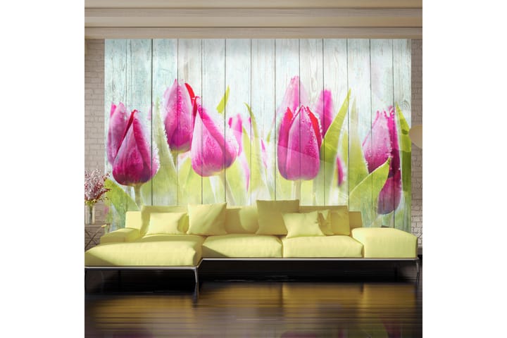 Valokuvatapetti Tulips On White Wood 100x70 - Artgeist sp. z o. o. - Sisustustuotteet - Seinäkoristeet - Tapetit - Valokuvatapetit