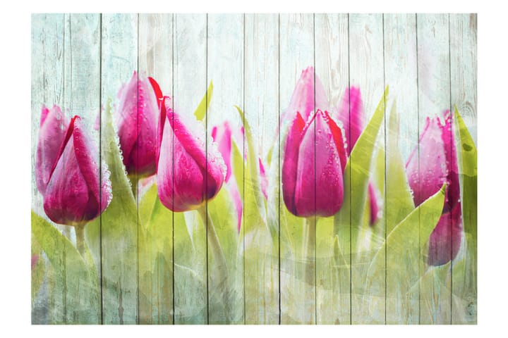 Valokuvatapetti Tulips On White Wood 150x105 - Artgeist sp. z o. o. - Sisustustuotteet - Seinäkoristeet - Tapetit - Valokuvatapetit