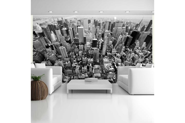 Valokuvatapetti Usa New York Musta ja valkoinen 450x270 - Artgeist sp. z o. o. - Sisustustuotteet - Seinäkoristeet - Tapetit - Valokuvatapetit