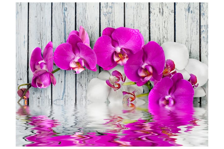 Valokuvatapetti Violet Orchids With Water Reflexion 200x154 - Artgeist sp. z o. o. - Sisustustuotteet - Seinäkoristeet - Tapetit - Valokuvatapetit