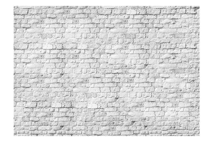 Valokuvatapetti White Brick 150x105 - Artgeist sp. z o. o. - Sisustustuotteet - Seinäkoristeet - Tapetit - Valokuvatapetit