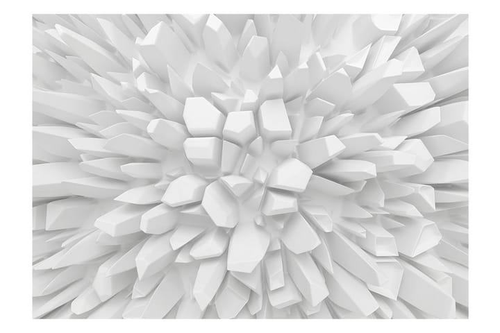 Valokuvatapetti White Dahlia 100x70 - Artgeist sp. z o. o. - Sisustustuotteet - Seinäkoristeet - Tapetit - Valokuvatapetit