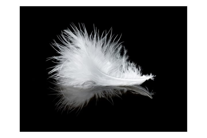 Valokuvatapetti White Feather 200x154 - Artgeist sp. z o. o. - Sisustustuotteet - Seinäkoristeet - Tapetit - Valokuvatapetit