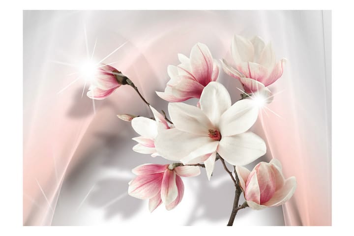 Valokuvatapetti White Magnolias 150x105 - Artgeist sp. z o. o. - Sisustustuotteet - Seinäkoristeet - Tapetit - Valokuvatapetit