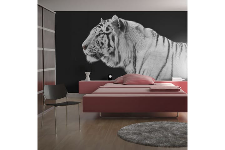 Valokuvatapetti White Tiger 200x154 - Artgeist sp. z o. o. - Sisustustuotteet - Seinäkoristeet - Tapetit - Valokuvatapetit