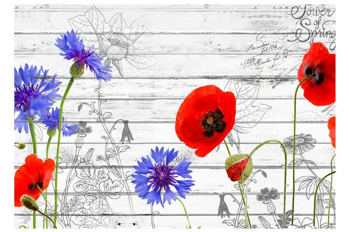 Valokuvatapetti Wildflowers 100x70 - Artgeist sp. z o. o. - Sisustustuotteet - Seinäkoristeet - Tapetit - Valokuvatapetit