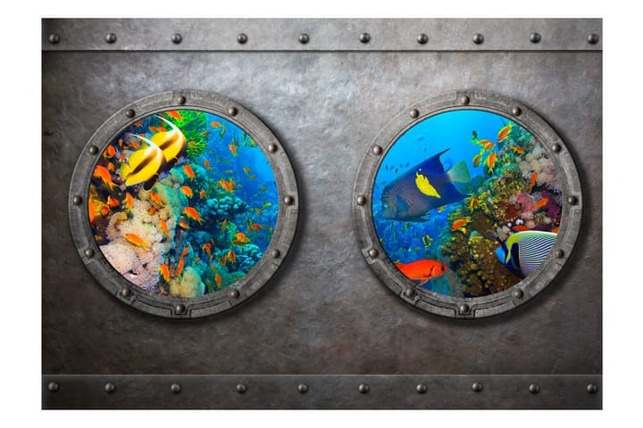 Valokuvatapetti Window To The Underwater World 150x105 - Artgeist sp. z o. o. - Valokuvatapetit