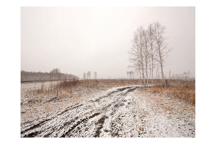 Valokuvatapetti Winter Field 200x154 - Artgeist sp. z o. o. - Sisustustuotteet - Seinäkoristeet - Tapetit - Valokuvatapetit