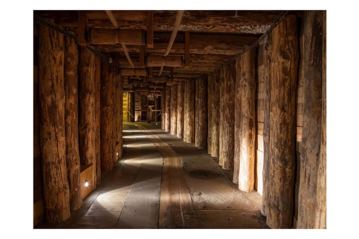 Valokuvatapetti Wooden Passage 200x154 - Artgeist sp. z o. o. - Sisustustuotteet - Seinäkoristeet - Tapetit - Valokuvatapetit