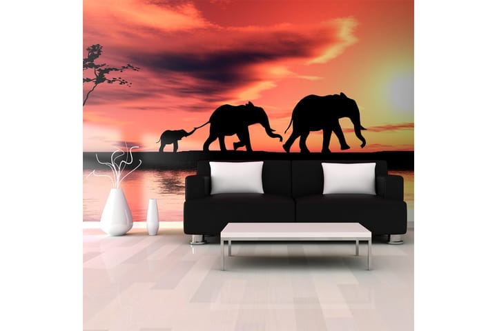 Valokuvatapetti XXL Elephants Family 550x270 - Artgeist sp. z o. o. - Sisustustuotteet - Seinäkoristeet - Tapetit - Valokuvatapetit