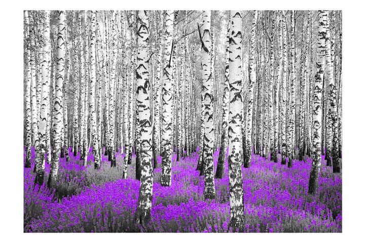 Valokuvatapetti Purple Asylum 300x210 - Artgeist sp. z o. o. - Sisustustuotteet - Seinäkoristeet - Tapetit - Valokuvatapetit