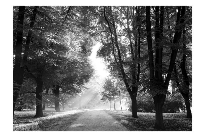 Valokuvatapetti Path Of Memories 200x140 - Artgeist sp. z o. o. - Sisustustuotteet - Seinäkoristeet - Tapetit - Valokuvatapetit