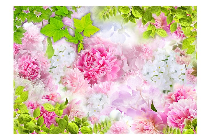 Valokuvatapetti Peonies 350x245 - Artgeist sp. z o. o. - Sisustustuotteet - Seinäkoristeet - Tapetit - Valokuvatapetit