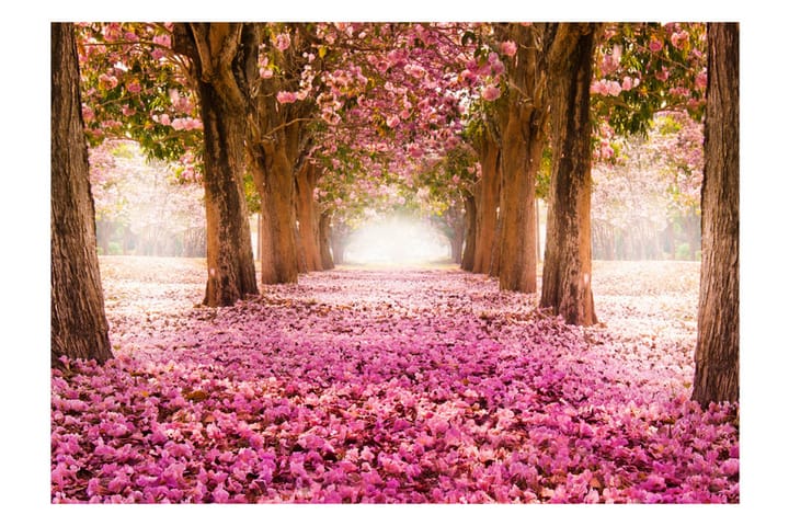 Valokuvatapetti Pink Grove 200x140 - Artgeist sp. z o. o. - Sisustustuotteet - Seinäkoristeet - Tapetit - Valokuvatapetit