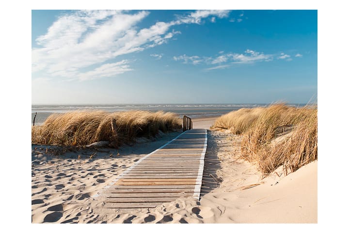 Valokuvatapetti Pohjanmeren Ranta Langeoog 300x231 - Artgeist sp. z o. o. - Sisustustuotteet - Seinäkoristeet - Tapetit - Valokuvatapetit