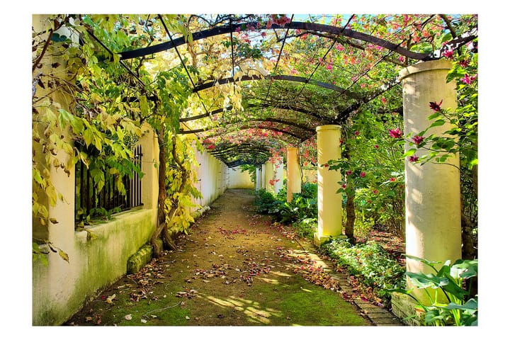 Valokuvatapetti Pergola 100x70 - Artgeist sp. z o. o. - Sisustustuotteet - Seinäkoristeet - Tapetit - Valokuvatapetit