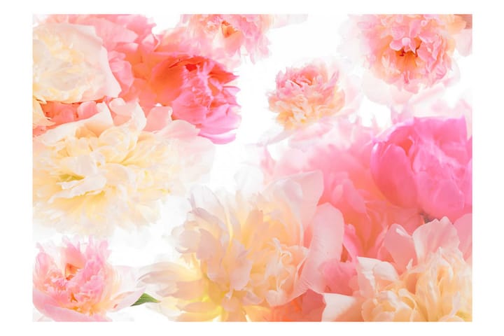 Valokuvatapetti Pastel Peonies 250x175 - Artgeist sp. z o. o. - Sisustustuotteet - Seinäkoristeet - Tapetit - Valokuvatapetit