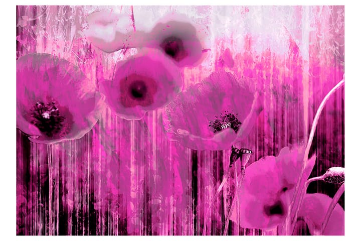 Valokuvatapetti Pink Madness 350x245 - Artgeist sp. z o. o. - Sisustustuotteet - Seinäkoristeet - Tapetit - Valokuvatapetit