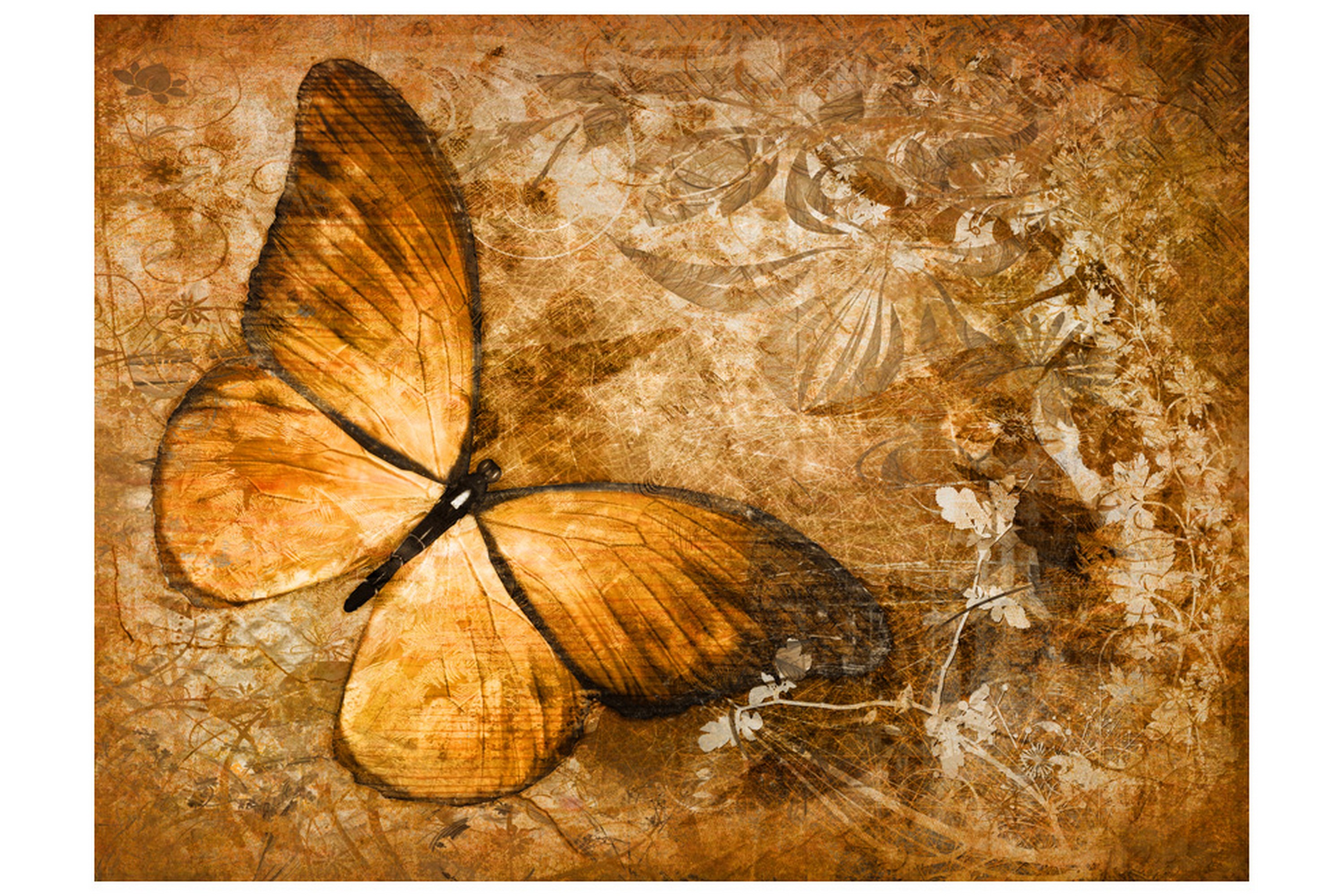 Valokuvatapetti Butterfly Sepia 350x270 - Artgeist sp. z o. o.