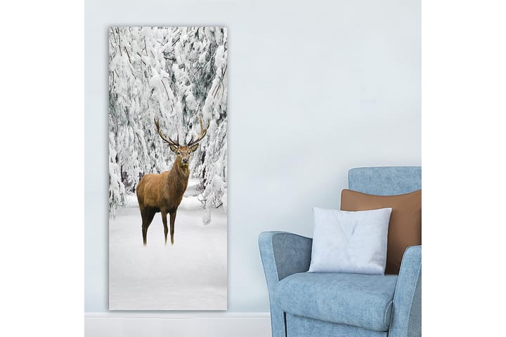 Canvastaulu DKY Animals Monivärinen - 50x120 cm - Sisustustuotteet - Taulu & taide - Canvas-taulu