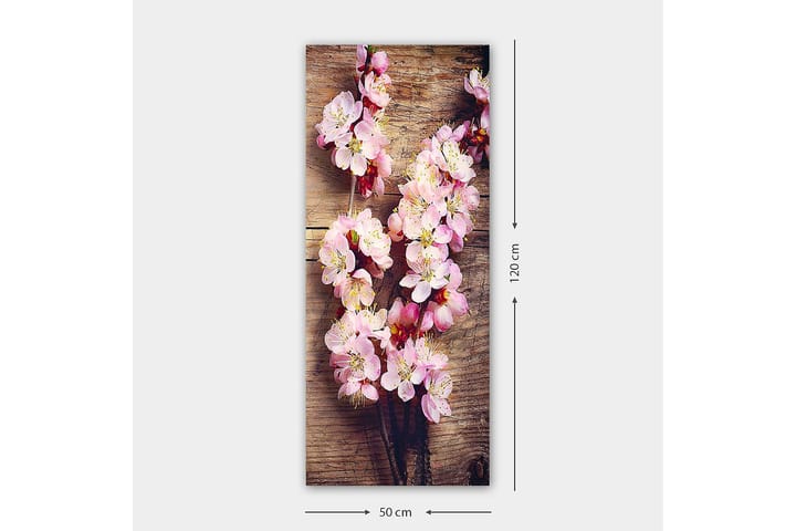 Canvastaulu DKY Floral & Botanical Monivärinen - 50x120 cm - Sisustustuotteet - Taulu & taide - Canvas-taulu