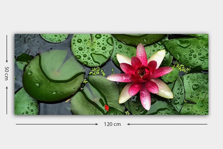 Canvastaulu YTY Floral & Botanical Monivärinen - 120x50 cm - Sisustustuotteet - Taulu & taide - Canvas-taulu