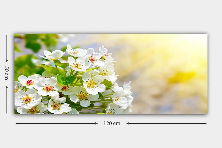 Canvastaulu YTY Floral & Botanical Monivärinen - 120x50 cm - Sisustustuotteet - Taulu & taide - Canvas-taulu