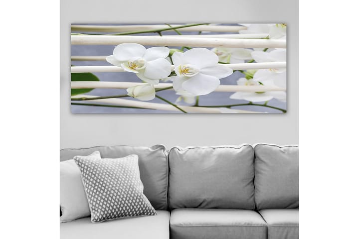 Canvastaulu YTY Floral & Botanical Monivärinen - 120x50 cm - Sisustustuotteet - Taulu & taide - Canvas-taulu