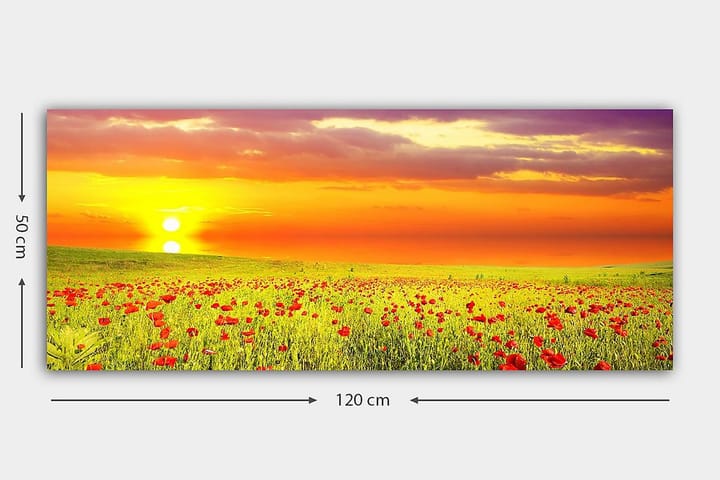 Canvastaulu YTY Floral & Botanical Monivärinen - 120x50 cm - Sisustustuotteet - Taulu & taide - Canvas-taulu